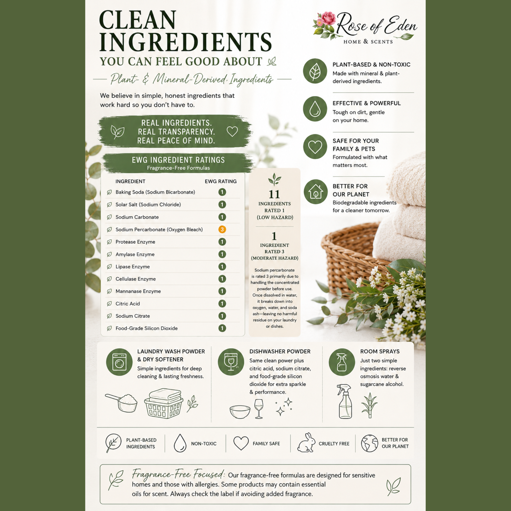 Toxin Free Laundry & Dish Bundle - Powder
