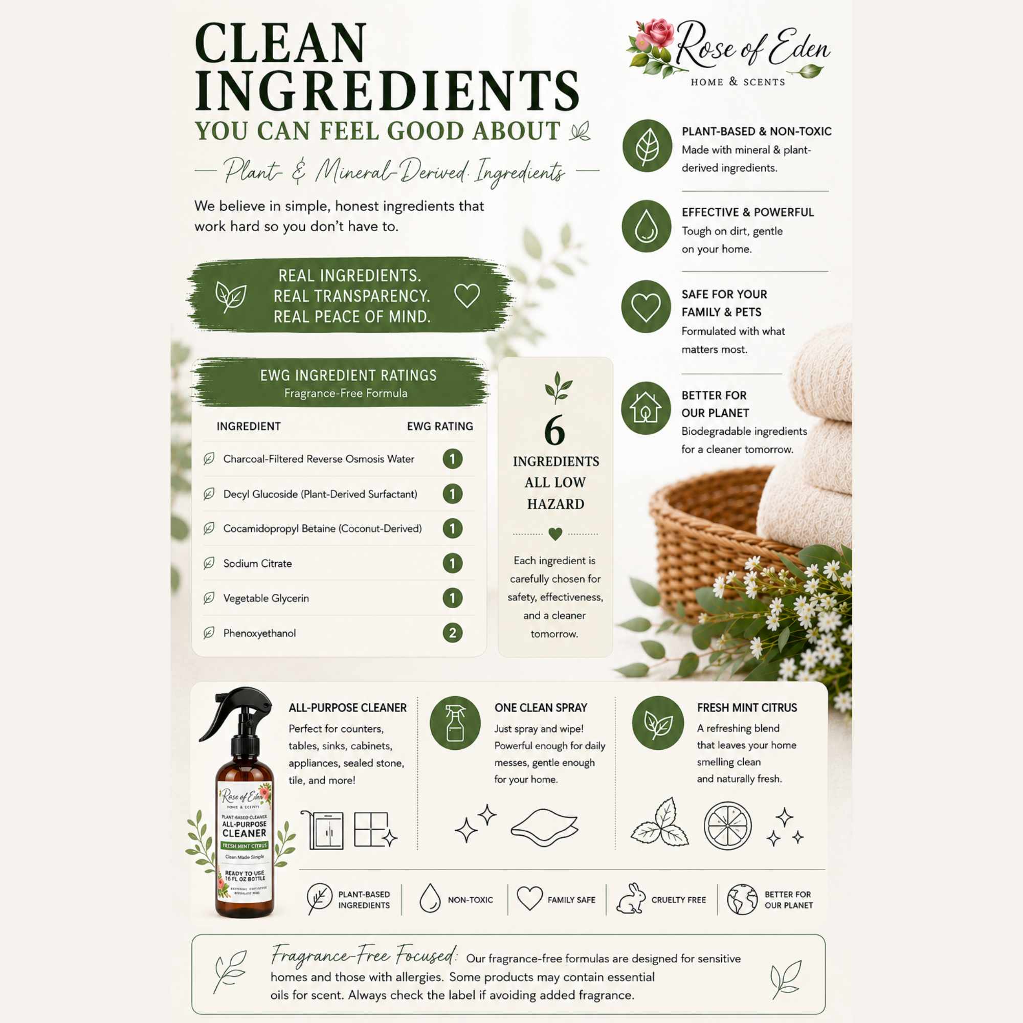 Plant-Based All-Purpose Cleaner | Ready-to-Use Multi-Surface Spray | 16 oz
